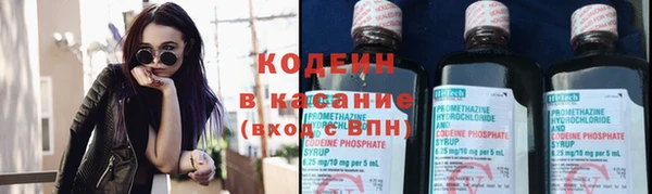 амф Коряжма