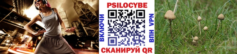 Галлюциногенные грибы прущие грибы  где можно купить   Мелеуз 